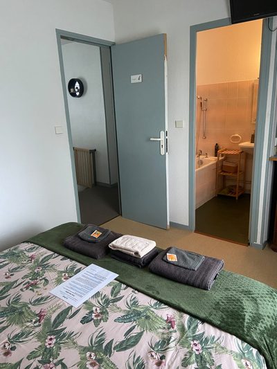 Chambre Fougère et la porte ouverte sur sa salle de bains, lit habillé de vert et de feuillages.